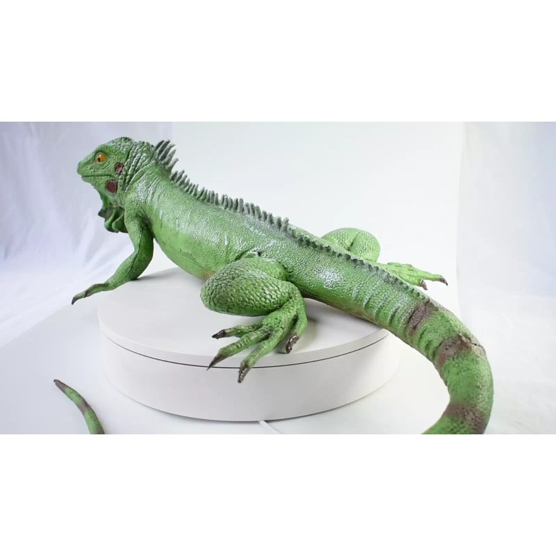 Dillon Iguana, Lizard, Museum Quality, Foam Rubber Reptile, Toy, Educational,