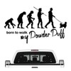 Siviwonder Powder Puff Powder Puff Crested Dog Evolution Car Sticker