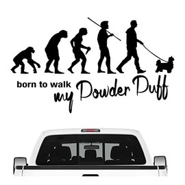 Siviwonder Powder Puff Powder Puff Crested Dog Evolution Car Sticker Dog Film, 30cm, Black