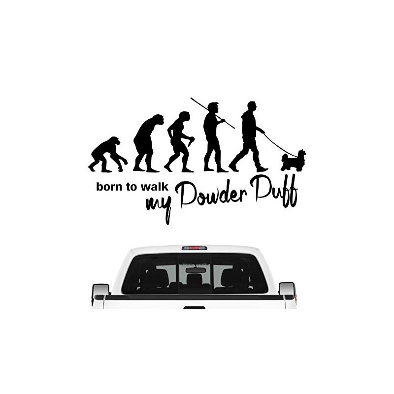 Siviwonder Powder Puff Powder Puff Crested Dog Evolution Car Sticker