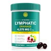 Lymphatic Drainage Supplements - Wellness Complex 9 in 1 Aescia,
