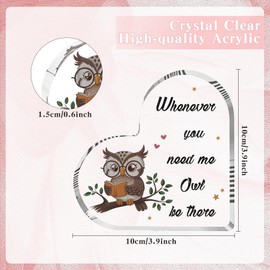 Owl Gifts For Women Owl Graduation Gifts For Friend Gifts For Women Owl Plaque Special Friend Gifts Friendship Gifts Owl Ornaments