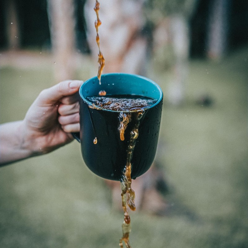 Salt Spring Coffee - French Roast Whole Bean Coffee, Organic