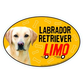 Lab Retriever (Yellow) Car Magnets: Lab Retriever (Yellow) Limo on Board - Oval 6" x 4" Auto/ Truck/ Refrigerator/ Mailbox (Funny Car Decals, Dog Magnet, Lab Retriever (Yellow)