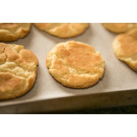 The Prepared Pantry Old Fashioned Snickerdoodle Cookie Mix, Family Size--1 lb. 4 oz