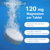 Hydrogen Water Tablets - 12 PPM H2 Molecular Hydrogen -