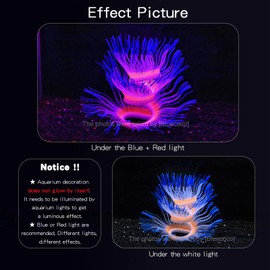 Bluecoco Blue/Green Free-Form Sea Anemone Corals，Soft Silica Gel Moves Naturally with Water Flow, Aquarium Decorations Glow in The Dark, Glowing Coral Ornaments for Fish Tank Decorations (Blue)