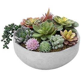 MyGift 20,3 centímetros Arreglo de Plantas suculentas Artificiales en Maceta de concreto