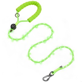 PetBonus 5 FT LED Dog Leash, Rechargeable Light Up Rope Dog Lead, 3 Lighting Modes, Thick Soft Padded Handle, Safer Night Walking for Small Medium Dogs (Green)
