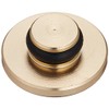 POSH 000820-12 Motorcycle Equipment Cap Bolt Cover for M8 Champagne