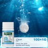 Pool Cleaning Tablet, Pool Cleaning Tablets, 100 Pieces, Cleaning Tablets