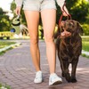 FACHOI Quick-Access Dog Poo Bag Holder Dispenser, Hands-Free Dog Waste