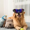 Dog Goggles Wind Sand UV Protection Eye Protection Adjustable Dog