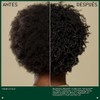 Aveda Be Curly Advanced Acondicionador Hidratante | cabello rizado