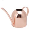 1000ml Stainless Steel Watering Can Sprinkle Pot Long Mouth Garden