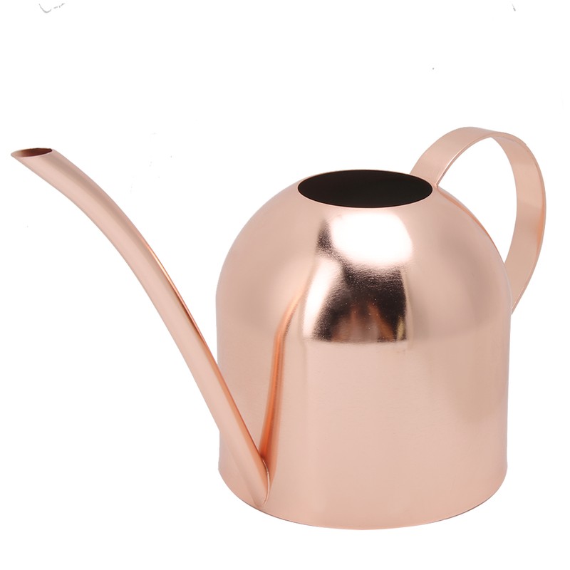 1000ml Stainless Steel Watering Can Sprinkle Pot Long Mouth Garden