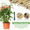 Suclain Bamboo Plant Stakes Plant Support Stakes Indoor and Outdoor