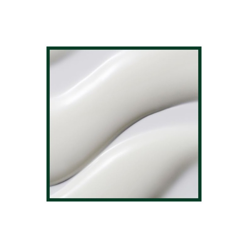 Aveda Nutriplenish Replenishing Overnight Serum Capilar | Hidratane