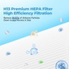 C545 Replacement Filter S fit for Winix C545, B151, P150