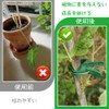 40 Pcs Trimming Clips Gardening Clips String Attracting Clips Plant