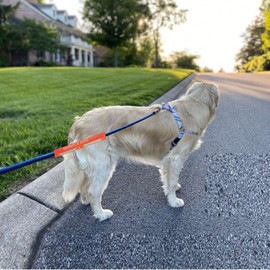 Service Dog Leash Sleeve Service Dog I Need Space, Dog Leash Wrap in Training Give Us Space, Highly Visible Dog Rope Wrap for Pet Dogs Walking, Dog Leash Travel Accessories