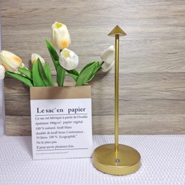 2 PACK Cordless Lamps,Battery Rechargeable Table Lamp,Portable Lamps,2 Level Brightness Dimmable Night Light,Minimalist Design,Cordless Table Lamps for Living Room/Restaurant/Couple Dinner(Gold)