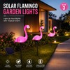Solar Flamingo Garden Lights for Outdoor Decor – IP65 LED