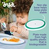 doddl Baby and Toddler Plate, Non-Breakable, Non-Slip, Dishwasher Safe, Helps