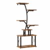 TOMNK Plant Stand with Grow Lights Indoor, Curved Design Flower