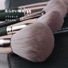Lynlyulinger Makeup Brush Set, Set of 14, Makeup Brushes Included,