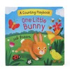 One LIttle Bunny: A Counting Playbook - Children's Board Book