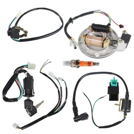 labwork Wiring Harness Ignition Coil CDI Magneto Stator Replacement for 4 Stroke 49cc 50cc 70cc 110cc 125cc 140cc Dirt Bikes