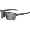 ALPINA Swift HR Sports Glasses for Adults, Matte Black, One