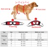 Front Dog Leg Support Harness Walking Aid Lifting Pulling Vest