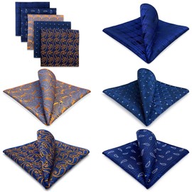 SHLAX&WING 5 Pieces Assorted Mens Silk Pocket Square Handkerchiefs Set (HSET-62)