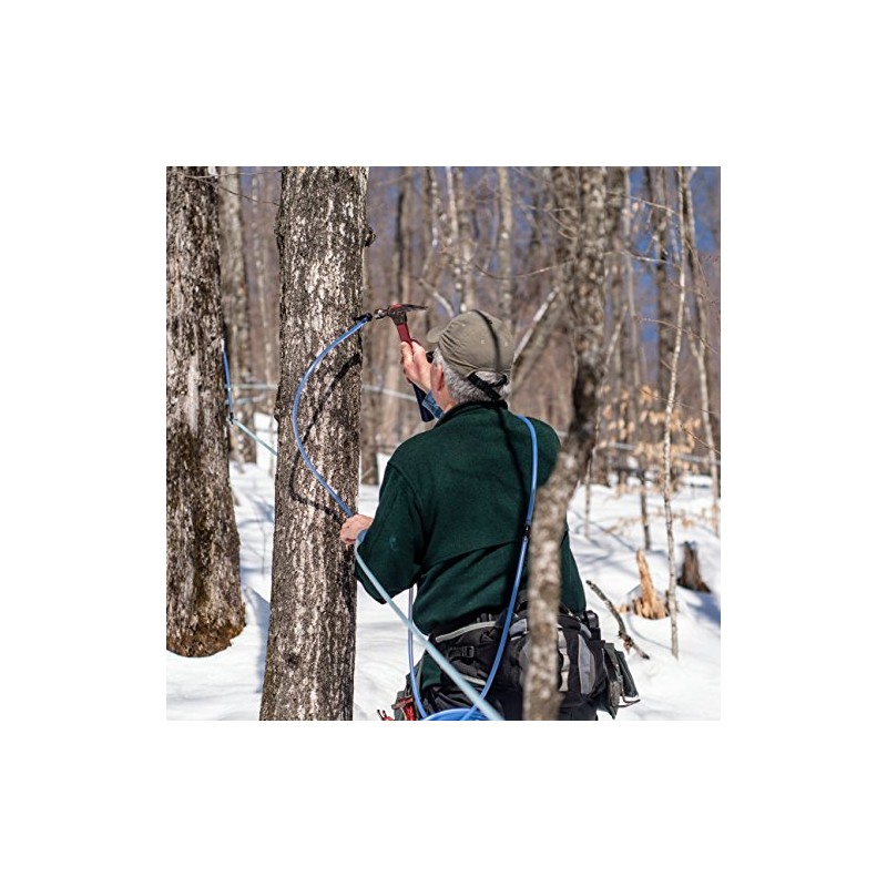 Butternut Mountain Farm Pure Vermont Maple Syrup, Grade A, Dark
