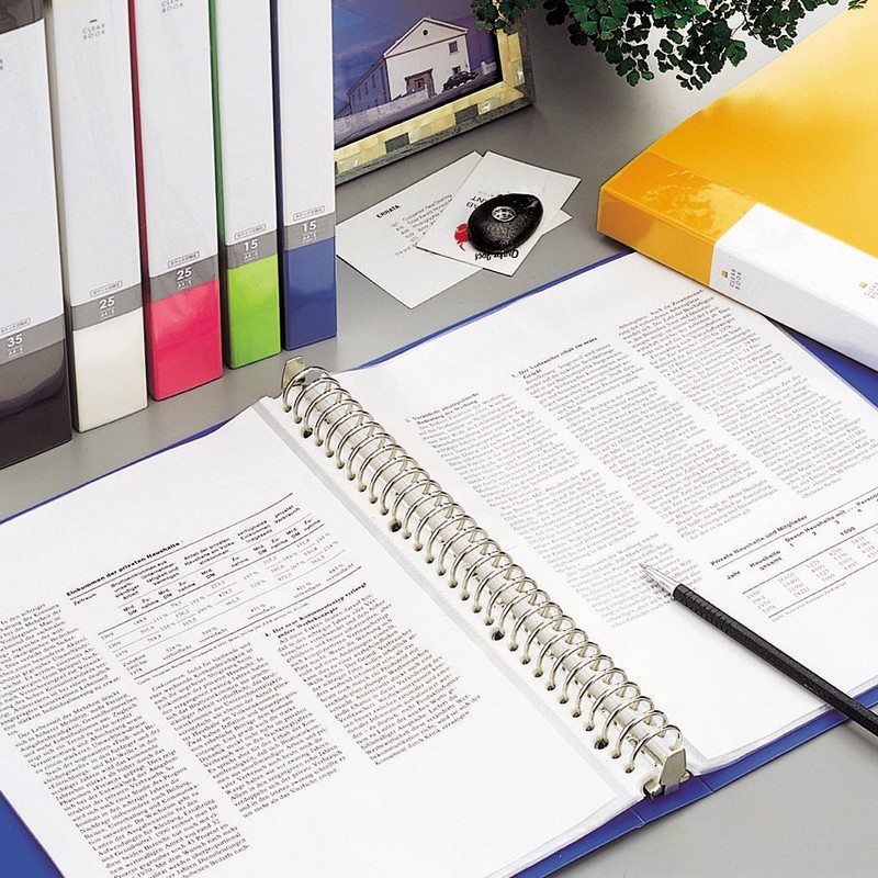 Lihit Lab G3806-24 30 Ring Binder, A4, 45 Protect Sheets,