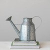 Creative Co-Op Galvanized Metal Watering Can, Silver