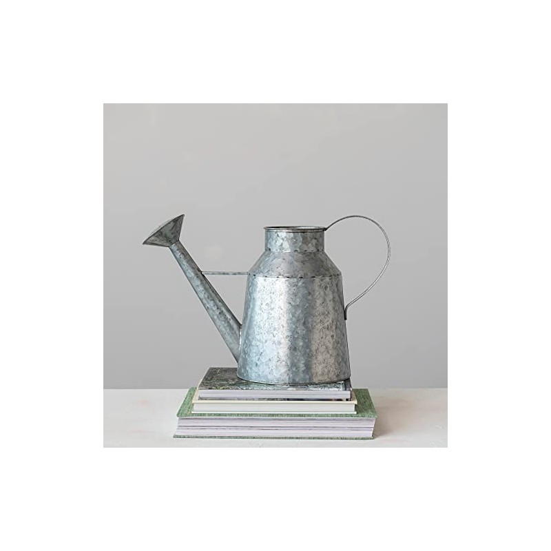 Creative Co-Op Galvanized Metal Watering Can, Silver