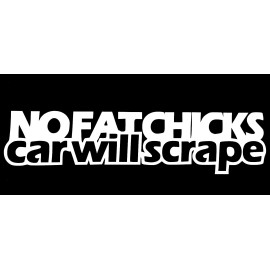MD&M NO FAT CHICKS CAR WILL SCRAPE DECAL EURO SLAMMED Fits CHEVY FORD HONDA VW DODGE