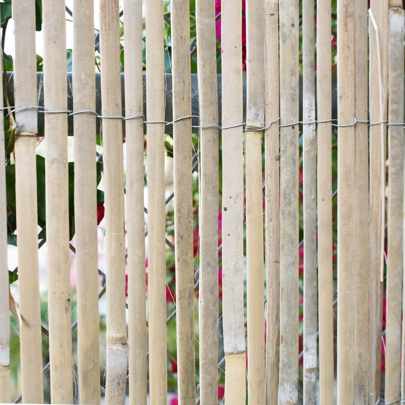 Forever Bamboo Natural Split Rolled Bamboo Fence Panel for Garden