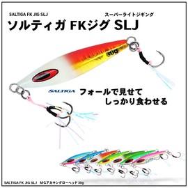 Daiwa Saltiga FK Jig SLJ Reel Case 1.1 oz (30 g) MG Akakin GH