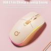 TISHLED Wireless Gaming Mouse Tri-Mode 2.4Ghz/Bluetooth 5.0/Wired USB-C with RGB