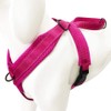 DogFad Dog Harness No Pull Pet Adjustable Reflective Breathable Outdoor