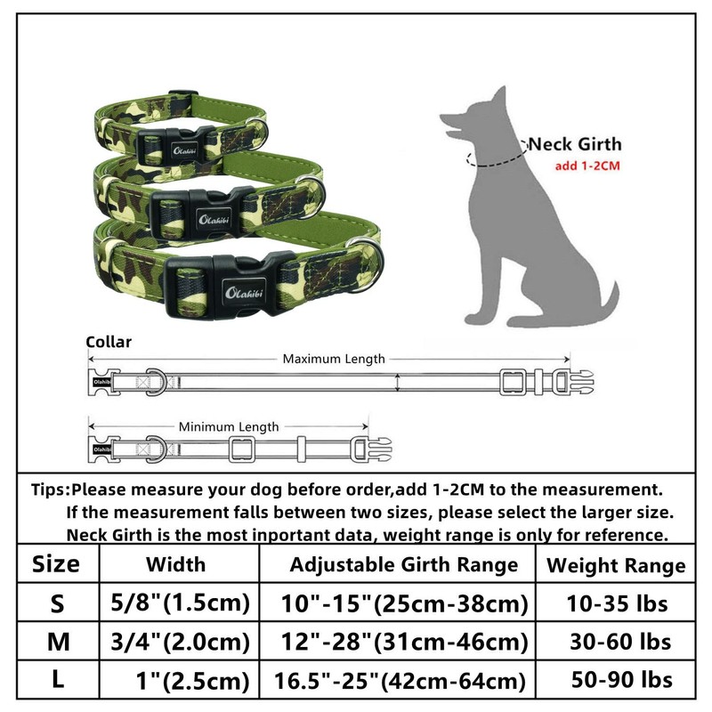 Olahibi Basic Dog Collar, Polyester Webbing Padded with Soft Neoprene,