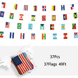 ZXvZYT Latin America 37 Countries Flag Banner String Spanish Language Speaking Assorted Latino Hangings Flags Pennant,For National International Classroom School Sports Bars Party Festival