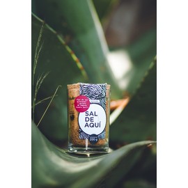 SAL DE AQUÍ - Flor de Sal con Gusano de Maguey - Frasco de 200 g (7.5oz) - Ideal para Mezcal y sazonar alimentos - Contiene 30% menos sodio que la sal común