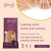 Ayluna Plant Hair Colour 100 Hair Colour 20 Honey Blonde