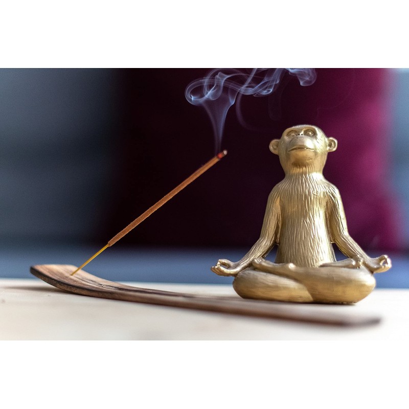 Gardenia Aromatic Incense Sticks - Natural Aromatherapy Incense Sticks -
