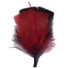 FQH Side Feather for Hats & Fedoras, Red2